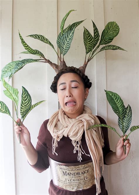 mandrake harry potter costume|More.